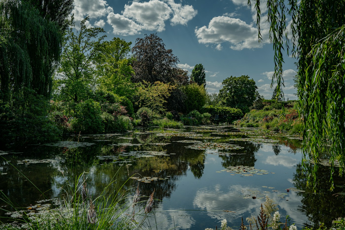 Water lilies in Monet's garden at Giverny